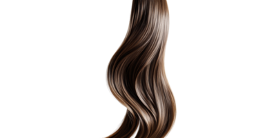 a strand of brown hair